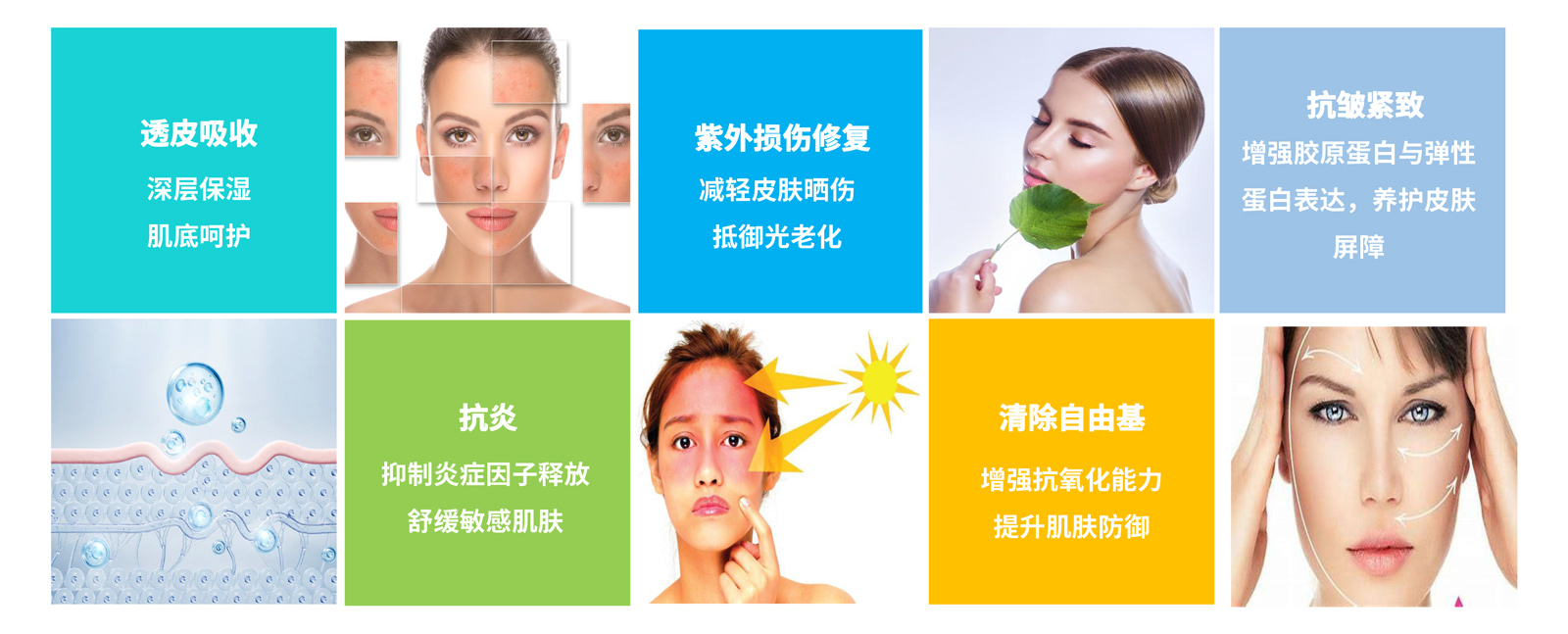 弘康未來-產(chǎn)品介紹2024-15.jpg